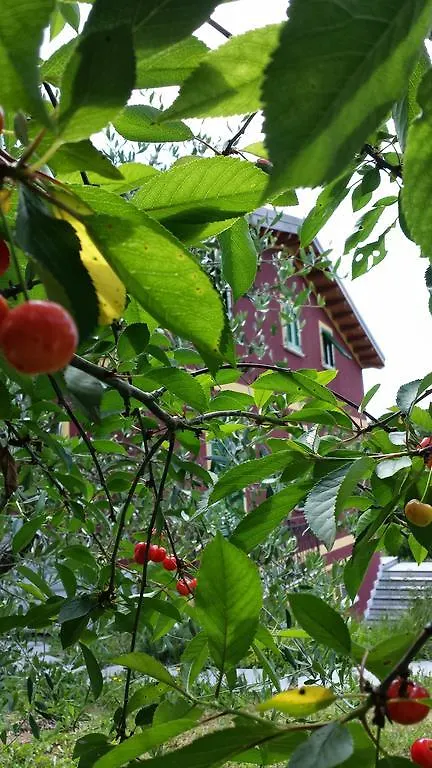 Di Luna E Di Sole Sarzana Bed & Breakfast
